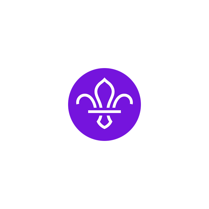 The Scout Association